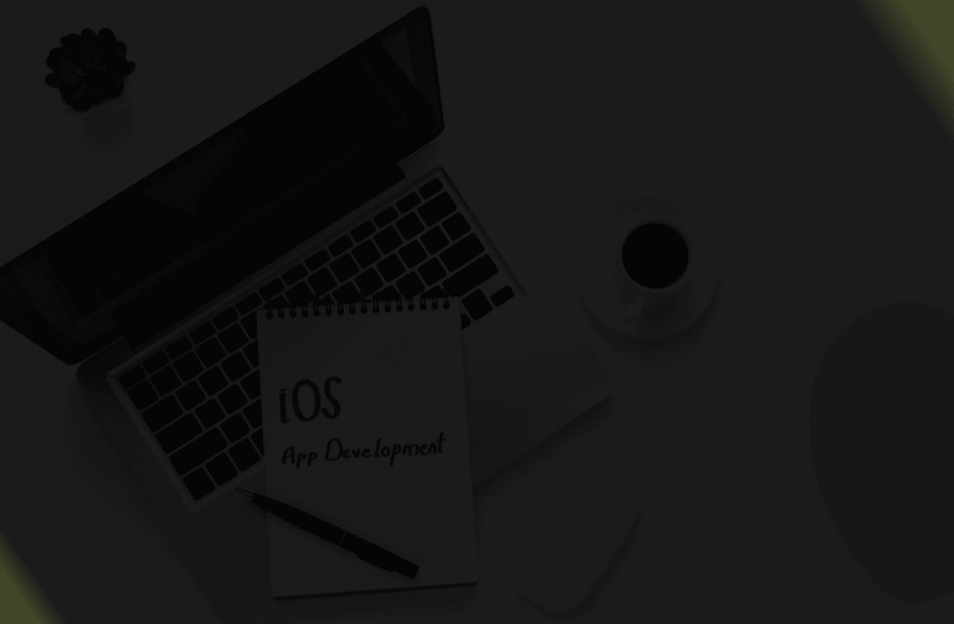 transparent no image available