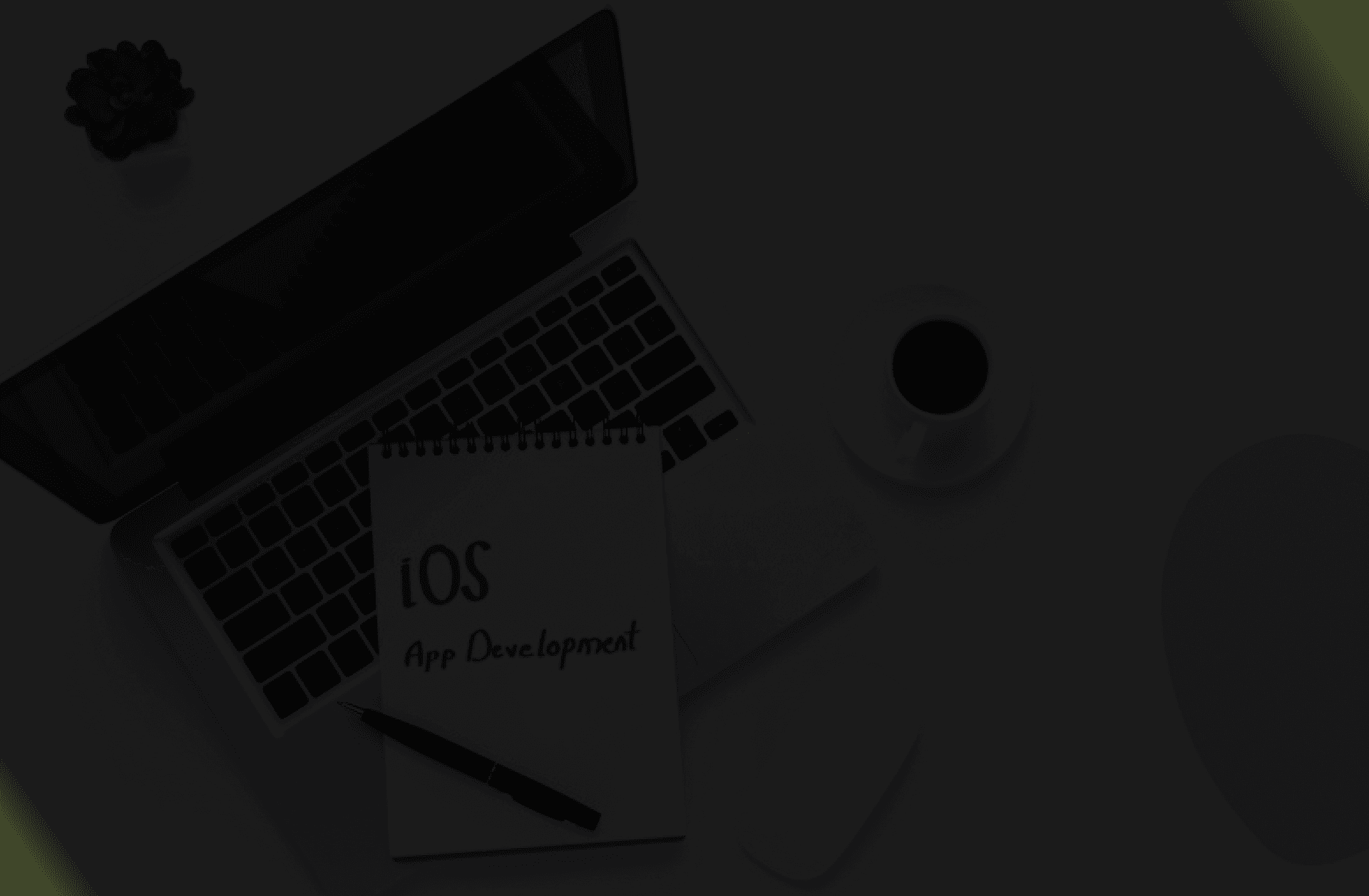 transparent no image available